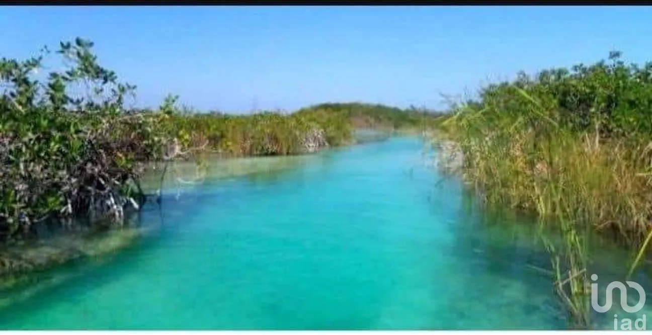 Terreno en Venta en Chunyaxché, Felipe Carrillo Puerto, Quintana Roo | NEX-286685 | iad México | Foto 14 de 18