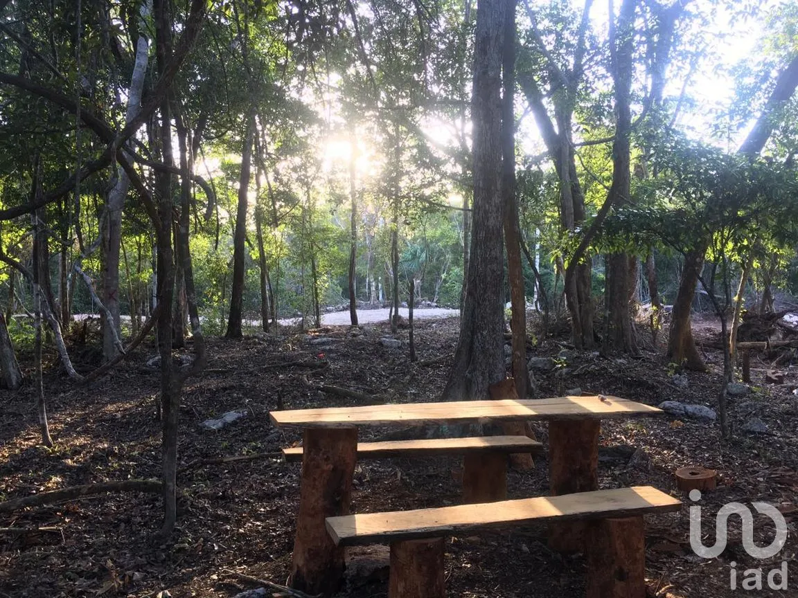 Terreno en Venta en Chunyaxché, Felipe Carrillo Puerto, Quintana Roo | NEX-286685 | iad México | Foto 17 de 18