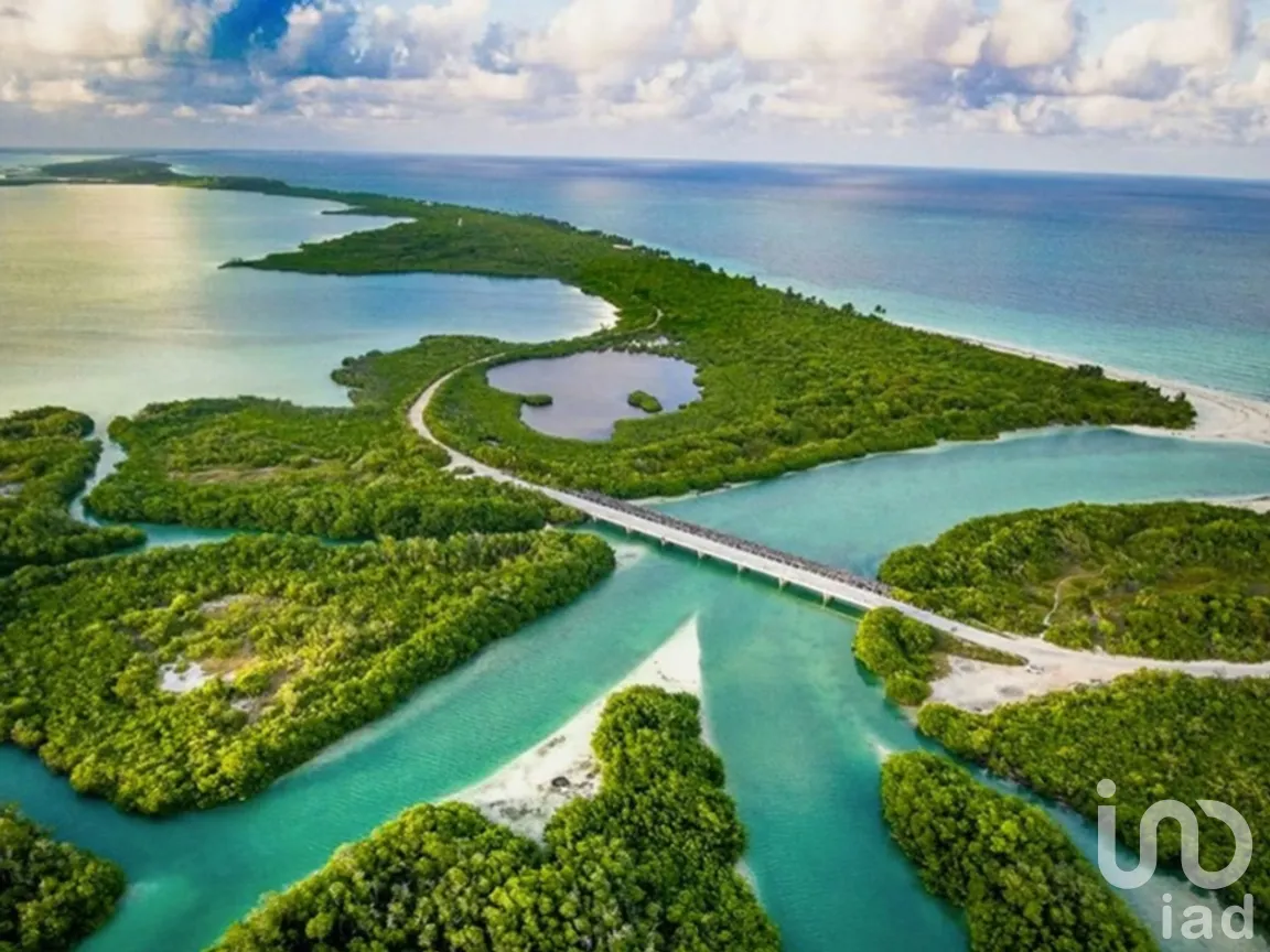 Terreno en Venta en Chunyaxché, Felipe Carrillo Puerto, Quintana Roo | NEX-286685 | iad México | Foto 4 de 18