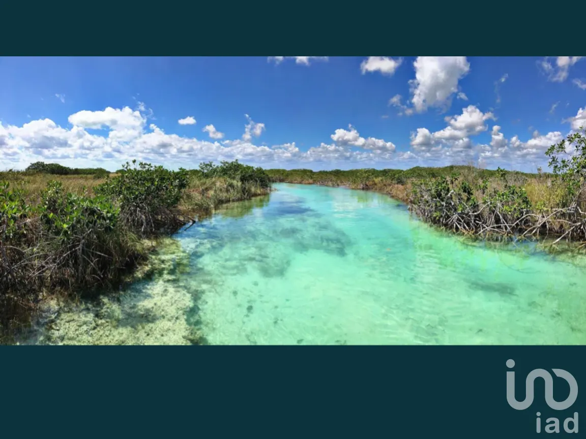 Terreno en Venta en Chunyaxché, Felipe Carrillo Puerto, Quintana Roo | NEX-286685 | iad México | Foto 5 de 18