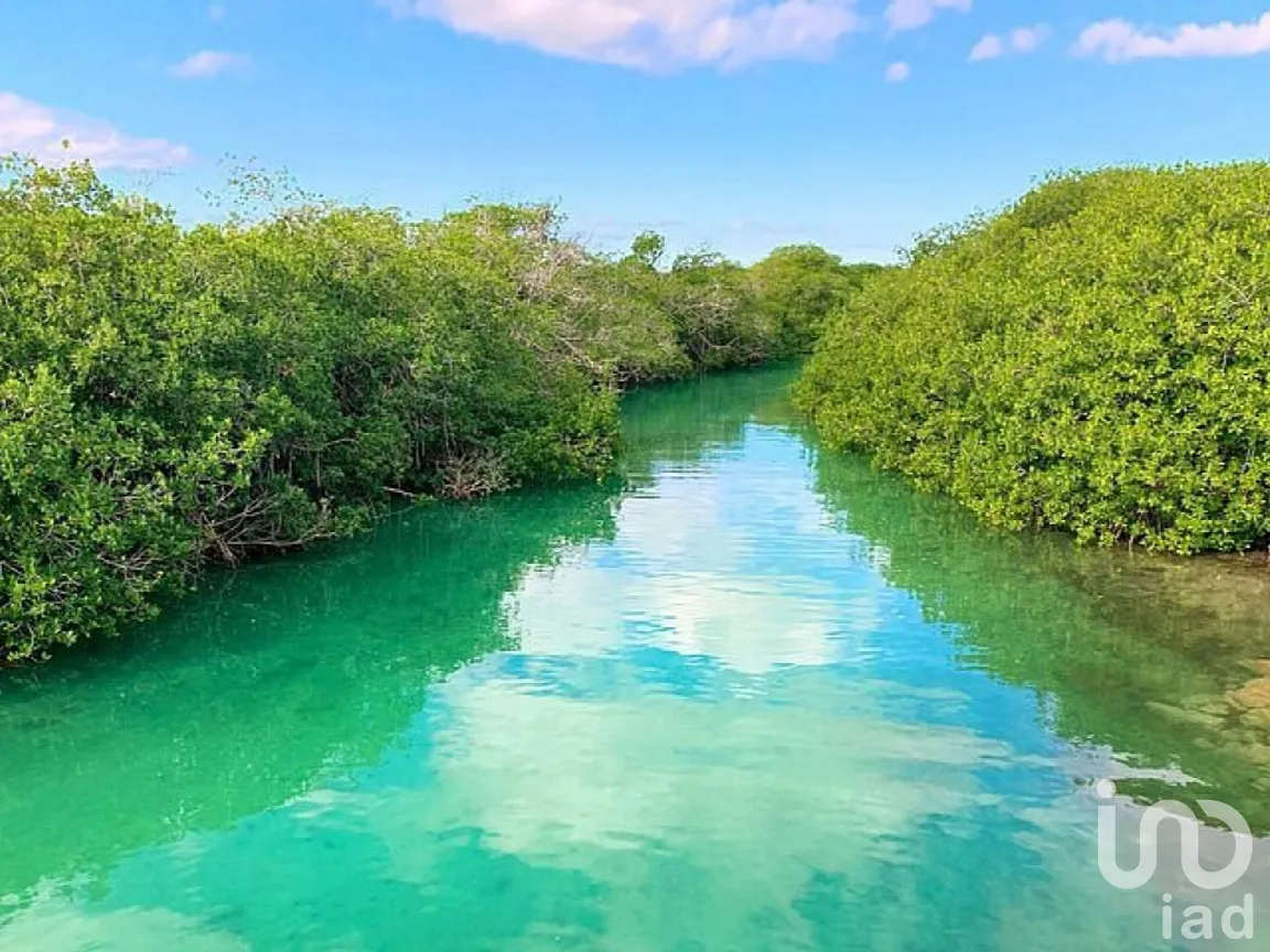 Terreno en Venta en Chunyaxché, Felipe Carrillo Puerto, Quintana Roo | NEX-286685 | iad México | Foto 6 de 18