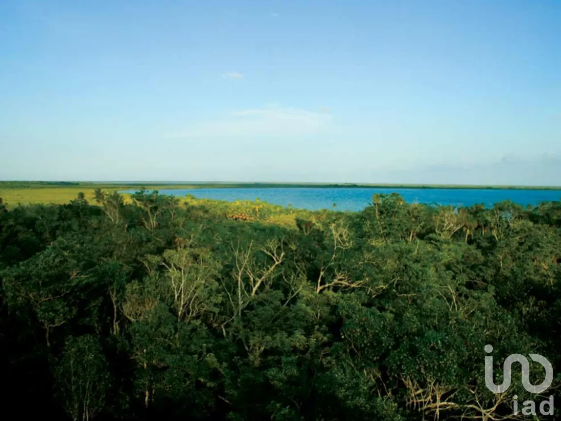 Terreno en Venta en Chunyaxché, Felipe Carrillo Puerto, Quintana Roo | NEX-286685 | iad México | Foto 9 de 18