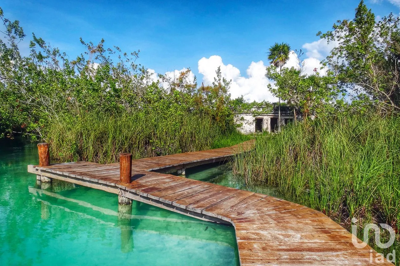 Terreno en Venta en Chunyaxché, Felipe Carrillo Puerto, Quintana Roo | NEX-286685 | iad México | Foto 10 de 18