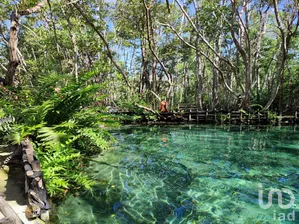 NEX-286685 - Terreno en Venta en Chunyaxché, CP 77130, Quintana Roo.