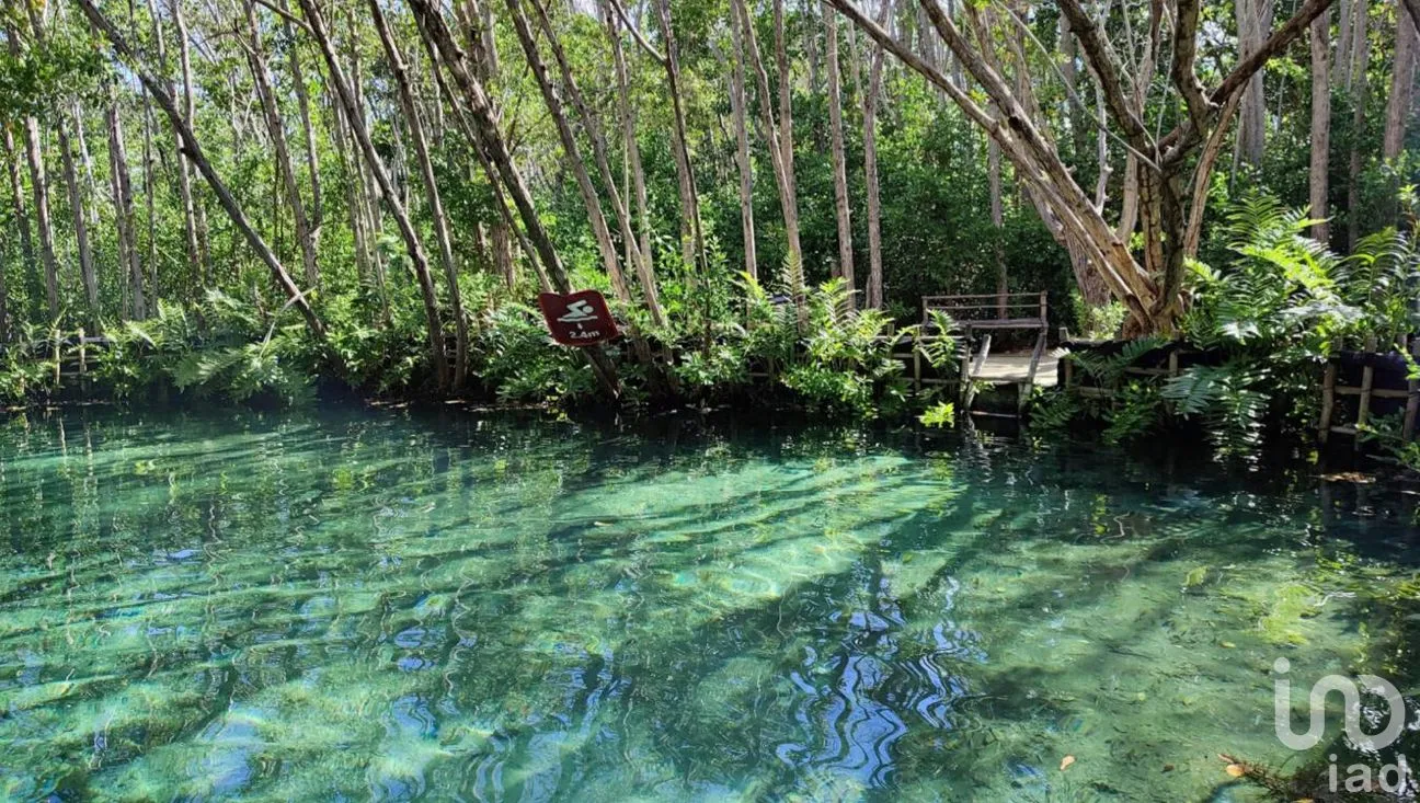 Terreno en Venta en Chunyaxché, Felipe Carrillo Puerto, Quintana Roo | NEX-286695 | iad México | Foto 2 de 14