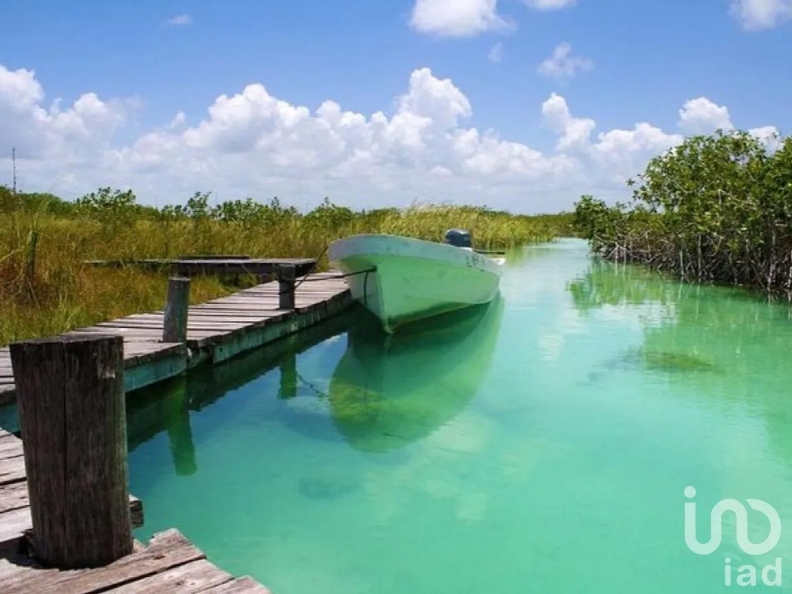 Terreno en Venta en Chunyaxché, Felipe Carrillo Puerto, Quintana Roo | NEX-286695 | iad México | Foto 4 de 14