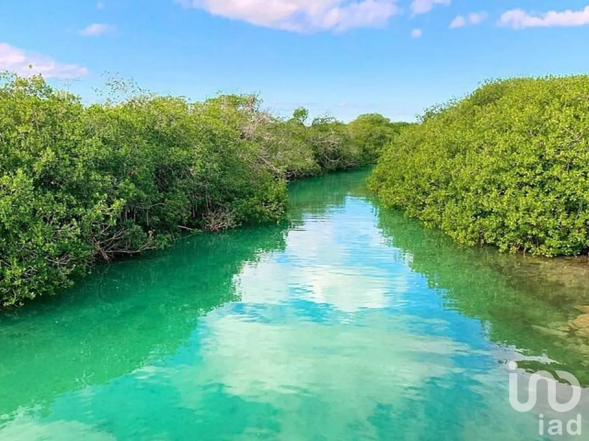 Terreno en Venta en Chunyaxché, Felipe Carrillo Puerto, Quintana Roo | NEX-286695 | iad México | Foto 6 de 14