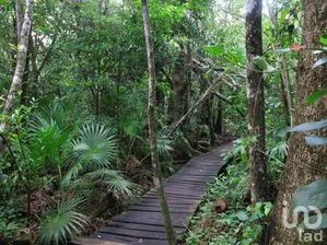 NEX-286695 - Terreno en Venta en Chunyaxché, CP 77130, Quintana Roo.