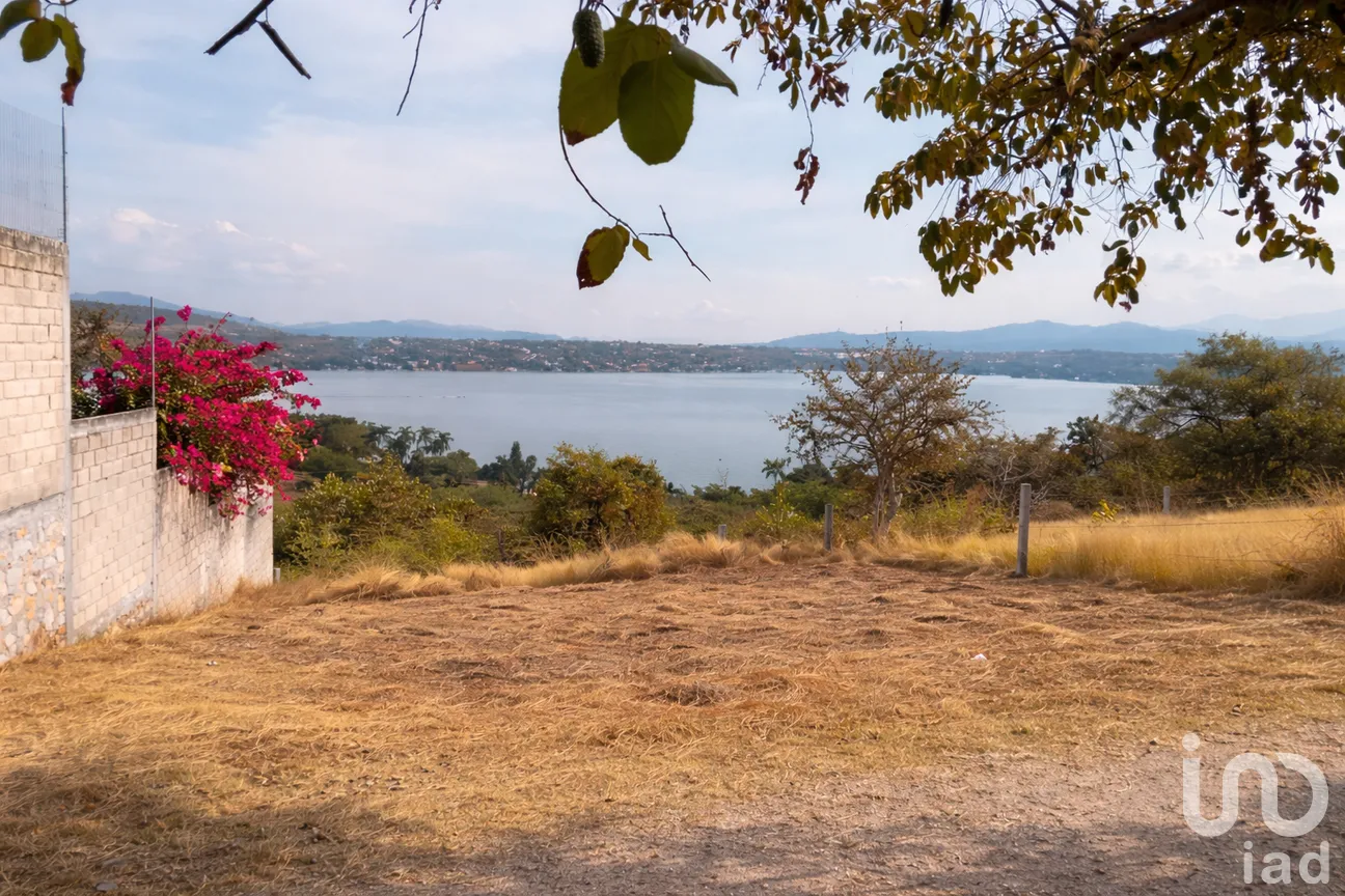 Terreno en Venta en Lomas Altas, Puente de Ixtla, Morelos | NEX-292612 | iad México | Foto 3 de 6