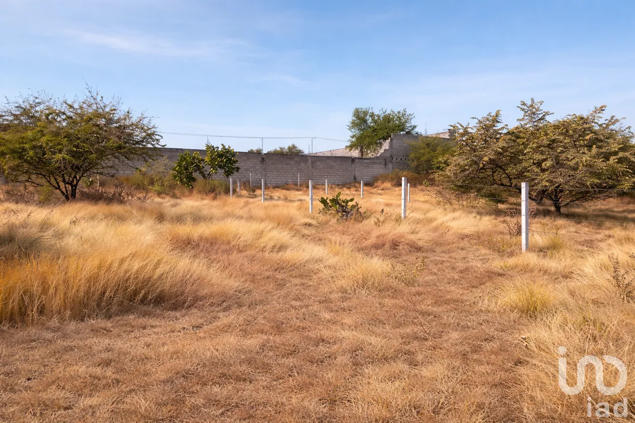 Terreno en Venta en Lomas Altas, Puente de Ixtla, Morelos | NEX-292612 | iad México | Foto 5 de 6