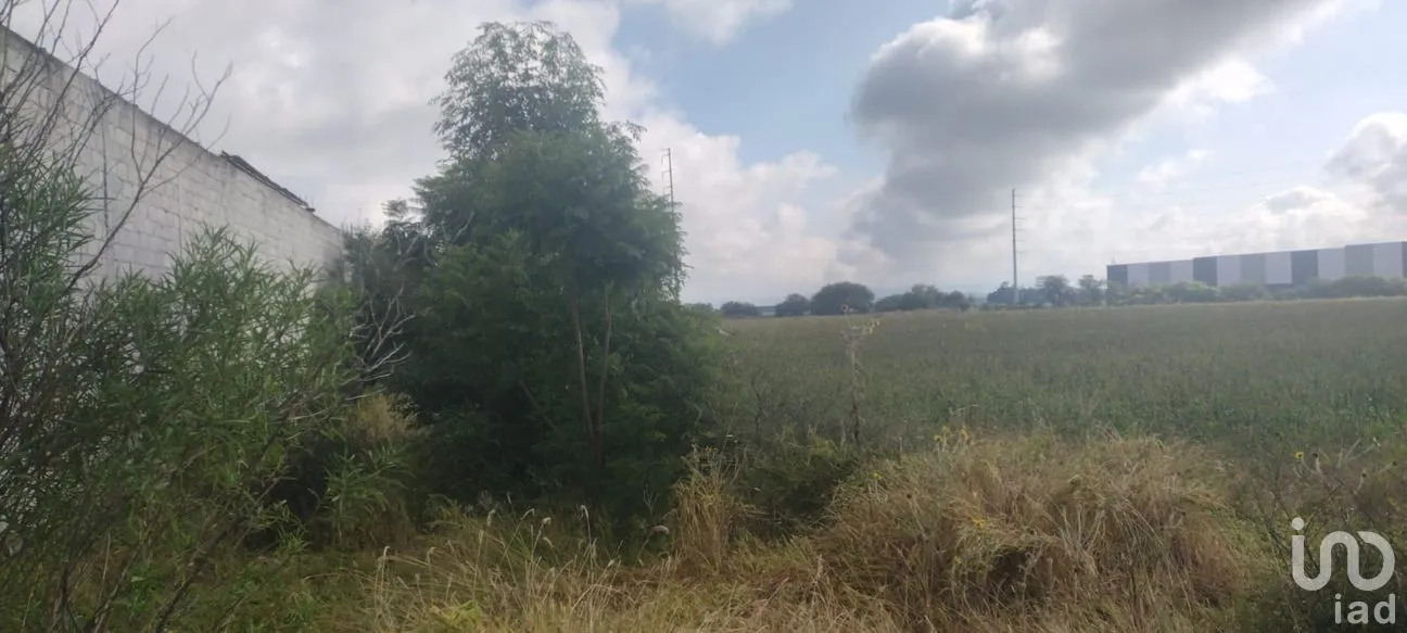 Terreno en Venta en Viborillas, Colón, Querétaro | NEX-265371 | iad México | Foto 7 de 7