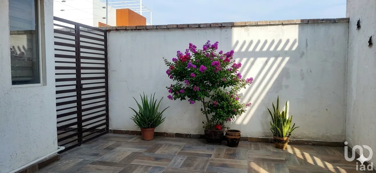 Casa en Renta en Campestre Haras, Amozoc, Puebla | NEX-297359 | iad México | Foto 7 de 18