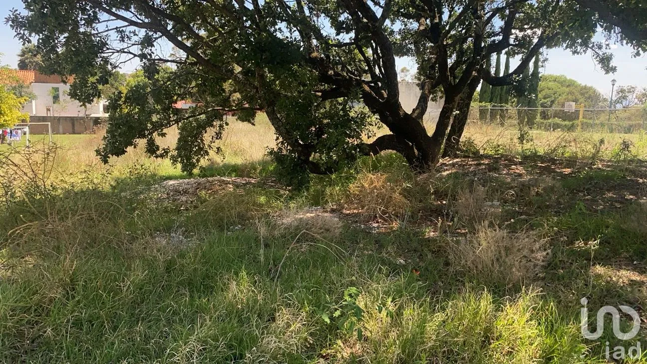 Terreno en Venta en Campestre Haras, Amozoc, Puebla | NEX-297717 | iad México | Foto 2 de 11