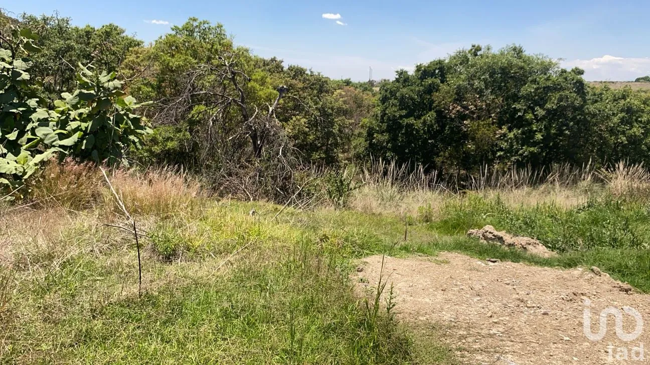 Terreno en Venta en Campestre Haras, Amozoc, Puebla | NEX-297717 | iad México | Foto 9 de 11