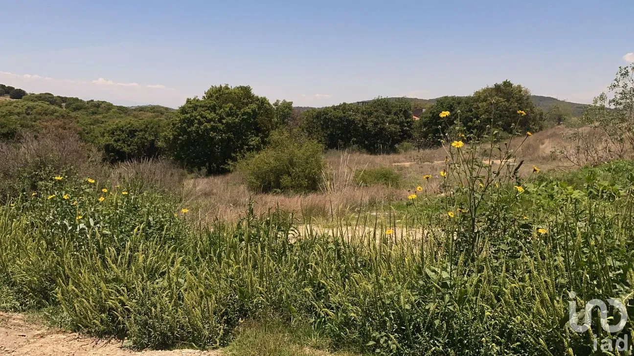 Terreno en Venta en Campestre Haras, Amozoc, Puebla | NEX-297717 | iad México | Foto 10 de 11