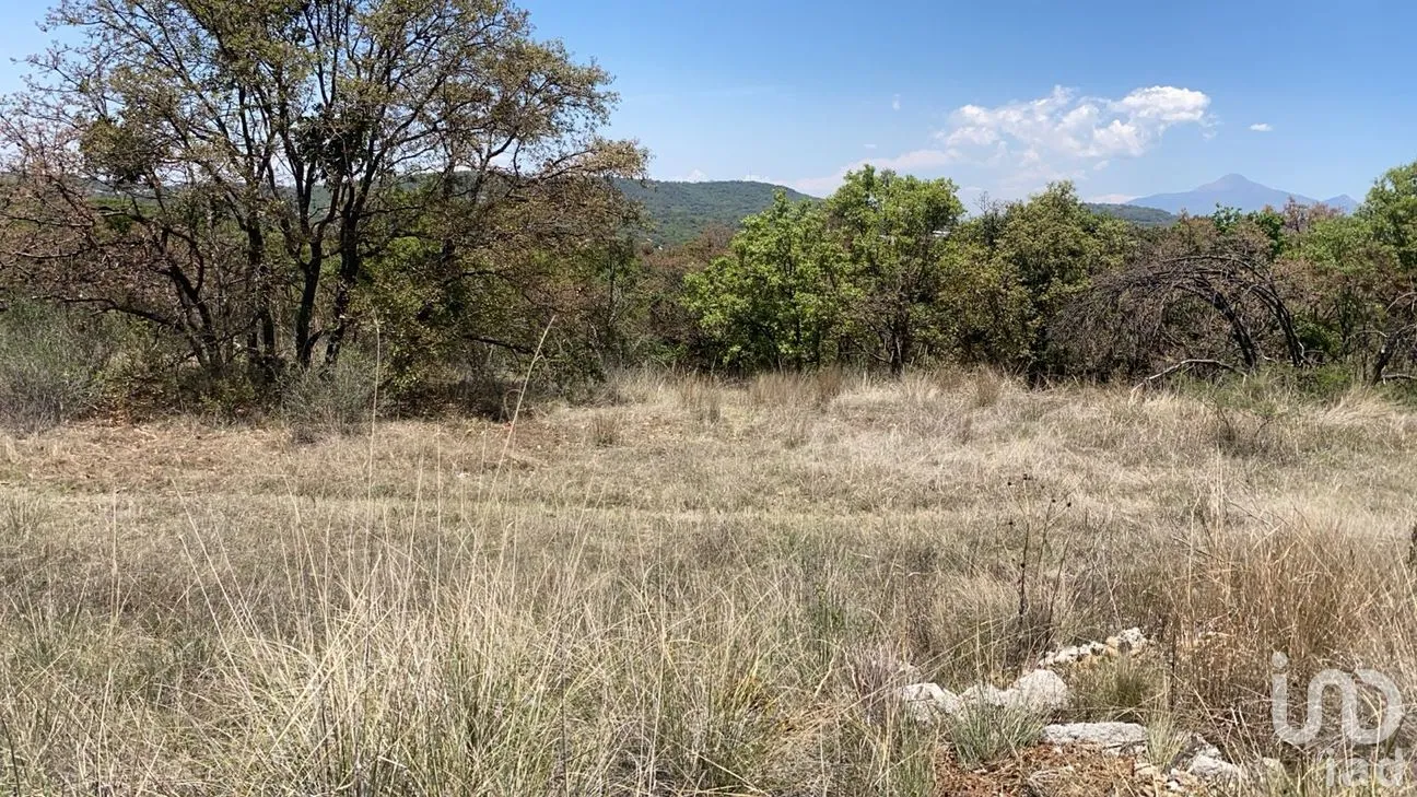 Terreno en Venta en Campestre Haras, Amozoc, Puebla | NEX-297758 | iad México | Foto 8 de 8