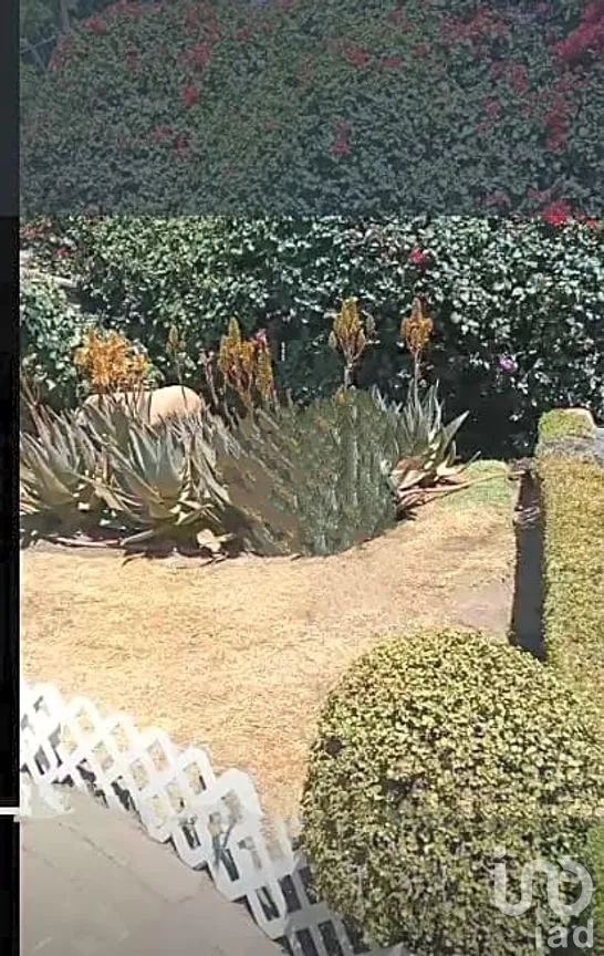 Terreno en Venta en Lomas Quebradas, La Magdalena Contreras, Ciudad de México | NEX-290259 | iad México | Foto 10 de 13