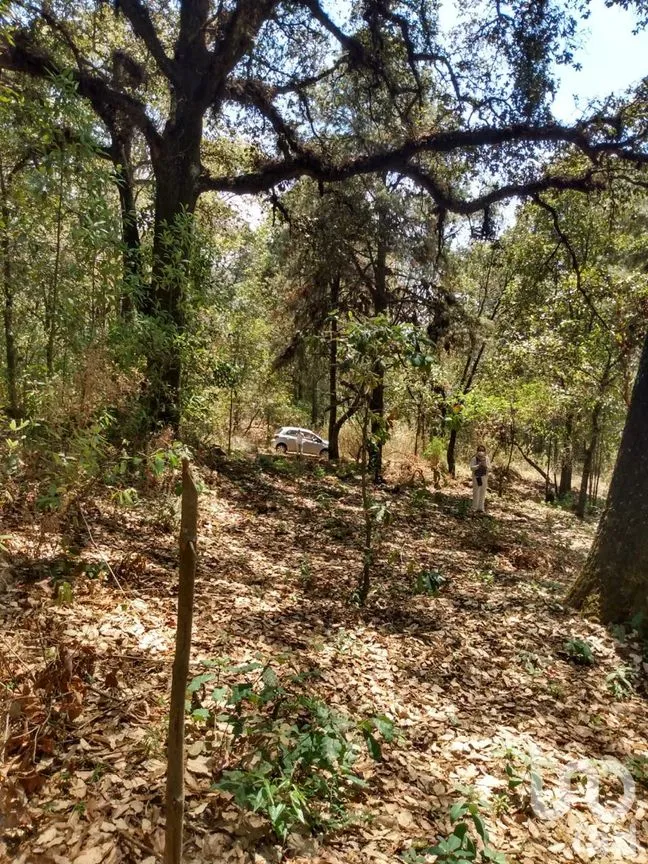 Terreno en Venta en El Vigía (San Nicolás del Monte), Tlalnepantla, Morelos | NEX-291256 | iad México | Foto 2 de 12