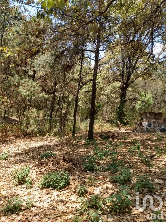 Terreno en Venta en El Vigía (San Nicolás del Monte), Tlalnepantla, Morelos | NEX-291256 | iad México | Foto 1 de 12