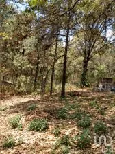 NEX-291256 - Terreno en Venta, con 360000 m2 de construcción en El Vigía (San Nicolás del Monte), CP 62535, Morelos.