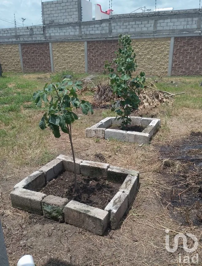 Terreno en Venta en Tabachines, Yautepec, Morelos | NEX-297385 | iad México | Foto 11 de 12