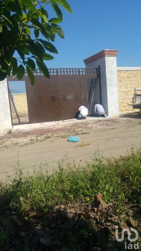 Terreno en Venta en Tabachines, Yautepec, Morelos | NEX-297385 | iad México | Foto 12 de 12