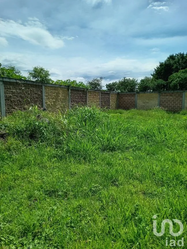 Terreno en Venta en Tabachines, Yautepec, Morelos | NEX-297385 | iad México | Foto 3 de 12