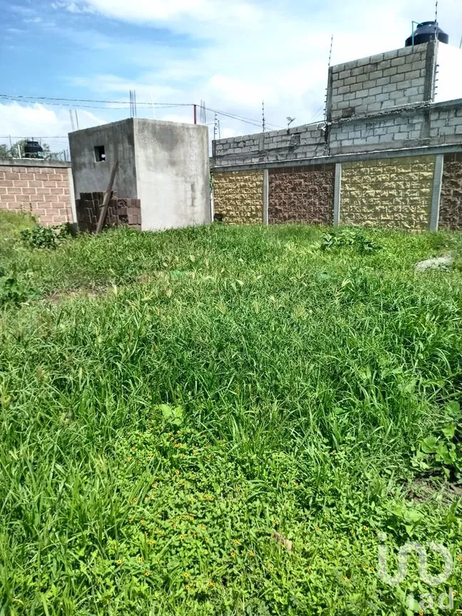 Terreno en Venta en Tabachines, Yautepec, Morelos | NEX-297385 | iad México | Foto 4 de 12
