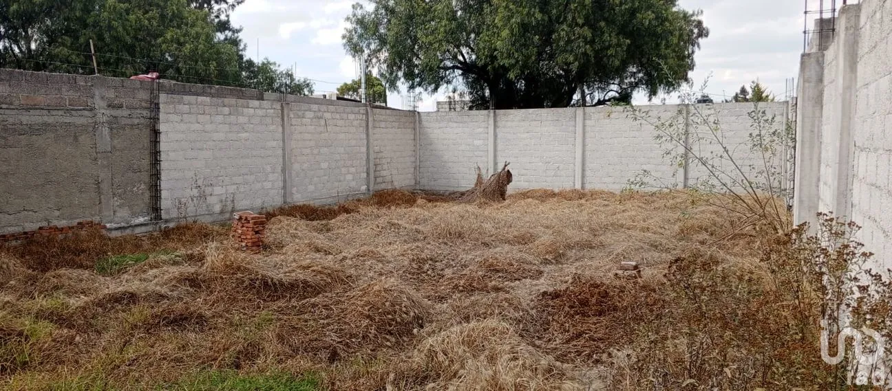 Terreno en Venta en El Carmen, Tizayuca, Hidalgo | NEX-284184 | iad México | Foto 3 de 7