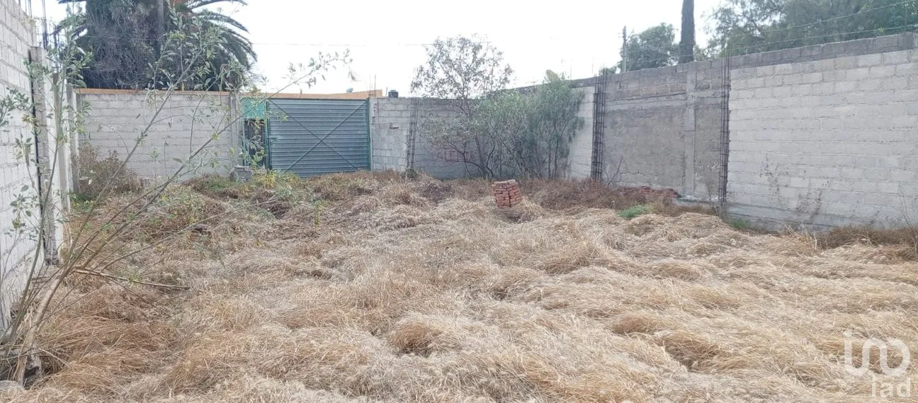 Terreno en Venta en El Carmen, Tizayuca, Hidalgo | NEX-284184 | iad México | Foto 5 de 7