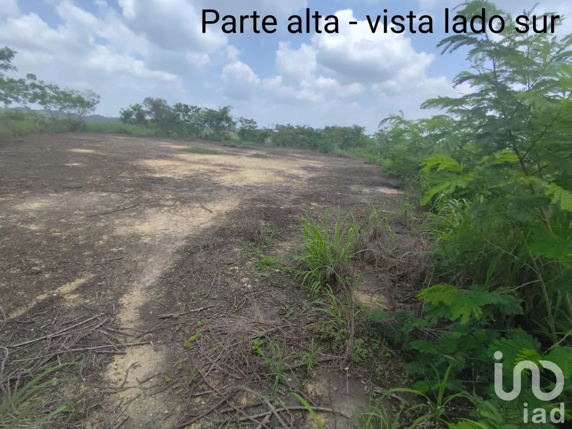 Terreno en Venta en Papantla Centro, Papantla, Veracruz de Ignacio de la Llave | NEX-265907 | iad México | Foto 2 de 14