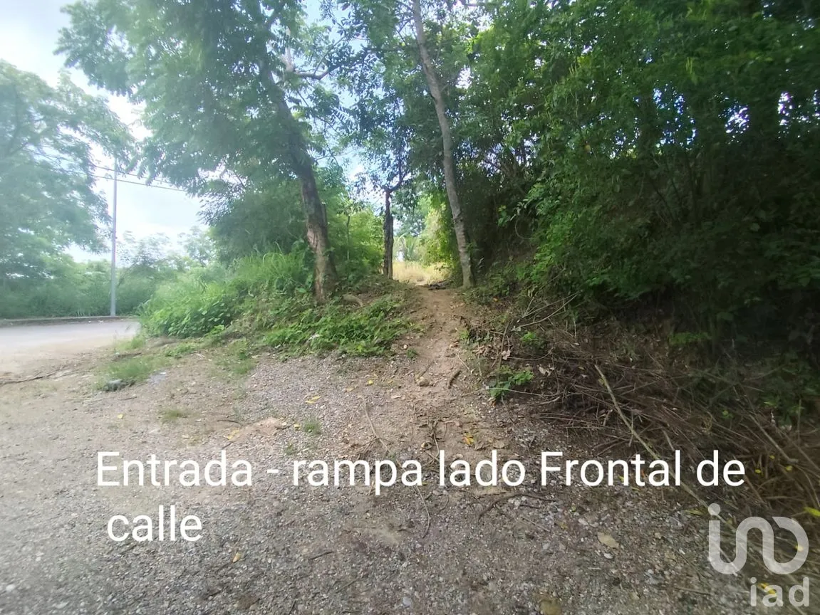 Terreno en Venta en Papantla Centro, Papantla, Veracruz de Ignacio de la Llave | NEX-265907 | iad México | Foto 11 de 14