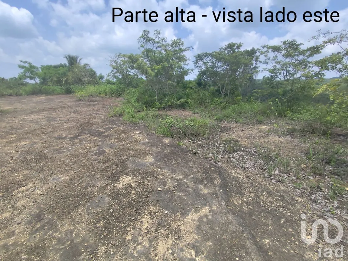 Terreno en Venta en Papantla Centro, Papantla, Veracruz de Ignacio de la Llave | NEX-265907 | iad México | Foto 12 de 14