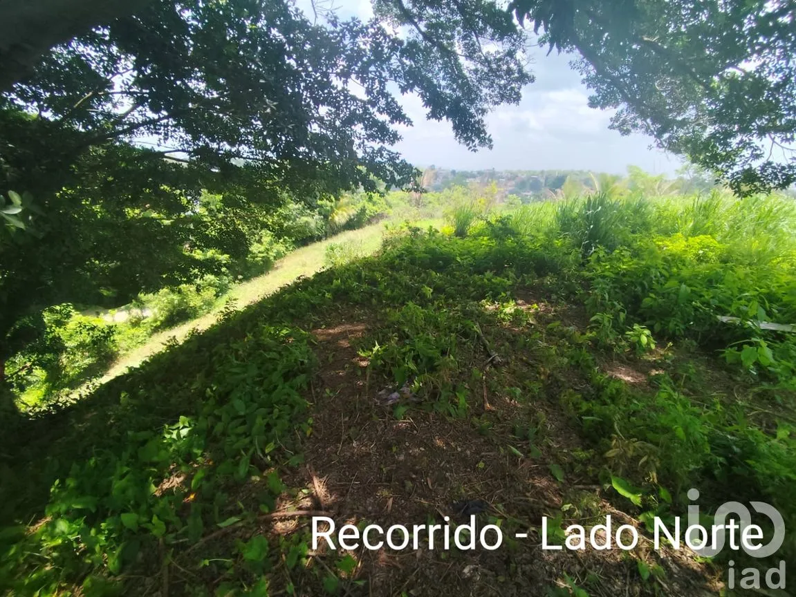 Terreno en Venta en Papantla Centro, Papantla, Veracruz de Ignacio de la Llave | NEX-265907 | iad México | Foto 14 de 14
