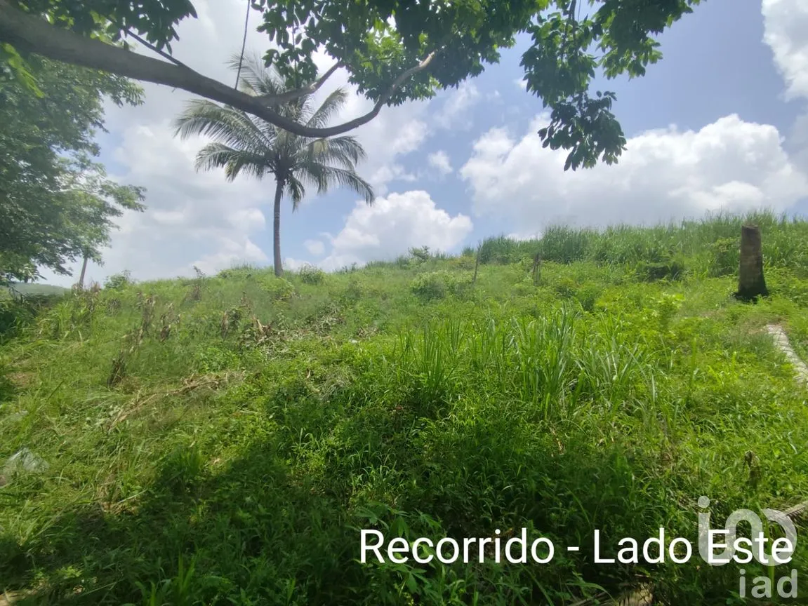Terreno en Venta en Papantla Centro, Papantla, Veracruz de Ignacio de la Llave | NEX-265907 | iad México | Foto 3 de 14