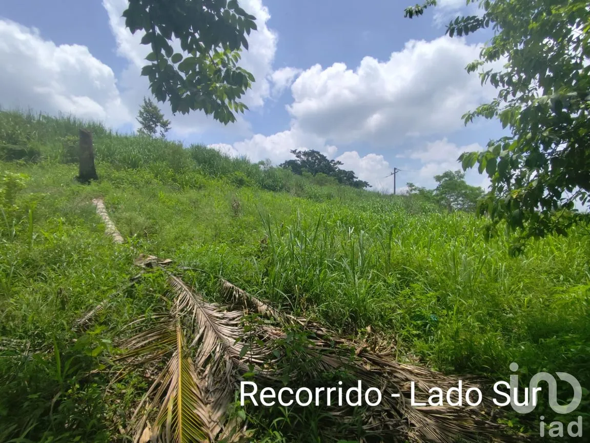 Terreno en Venta en Papantla Centro, Papantla, Veracruz de Ignacio de la Llave | NEX-265907 | iad México | Foto 4 de 14