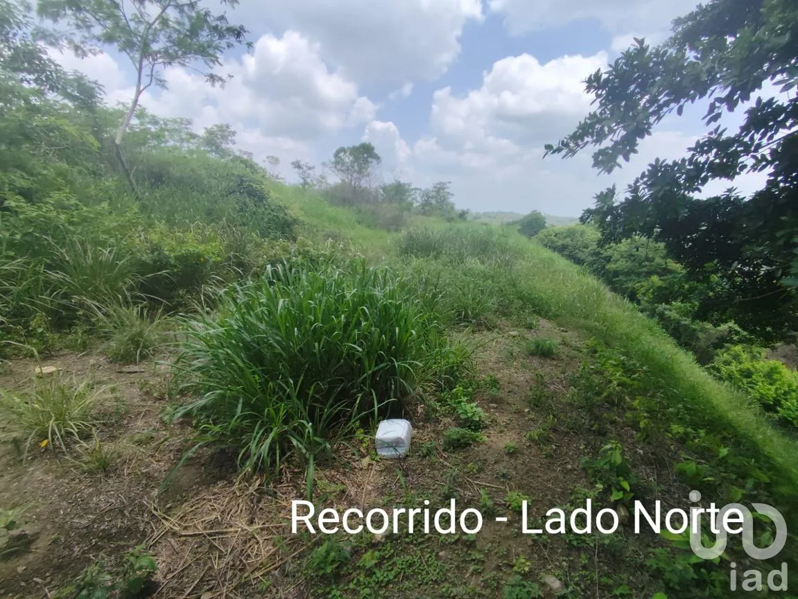 Terreno en Venta en Papantla Centro, Papantla, Veracruz de Ignacio de la Llave | NEX-265907 | iad México | Foto 5 de 14