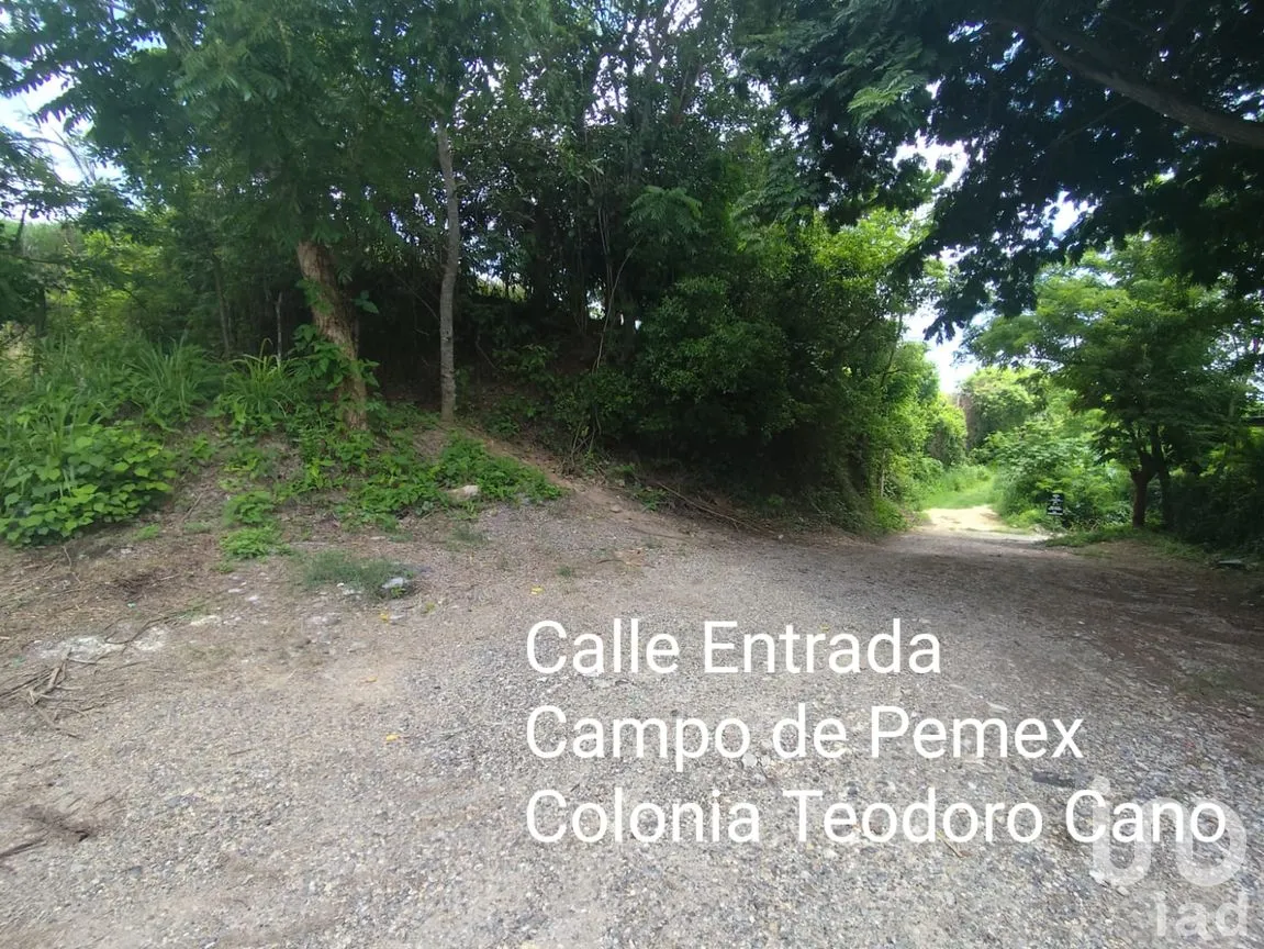 Terreno en Venta en Papantla Centro, Papantla, Veracruz de Ignacio de la Llave | NEX-265907 | iad México | Foto 8 de 14
