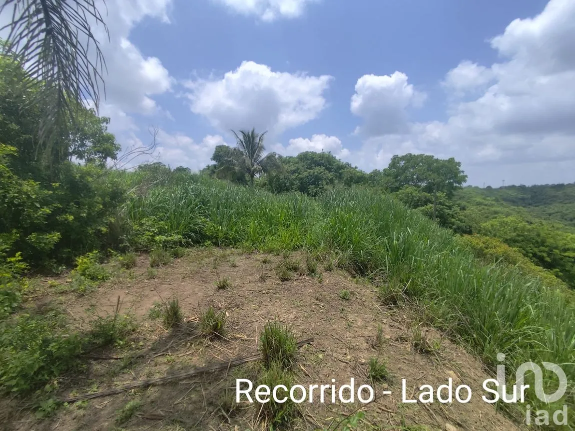 Terreno en Venta en Papantla Centro, Papantla, Veracruz de Ignacio de la Llave | NEX-265907 | iad México | Foto 9 de 14