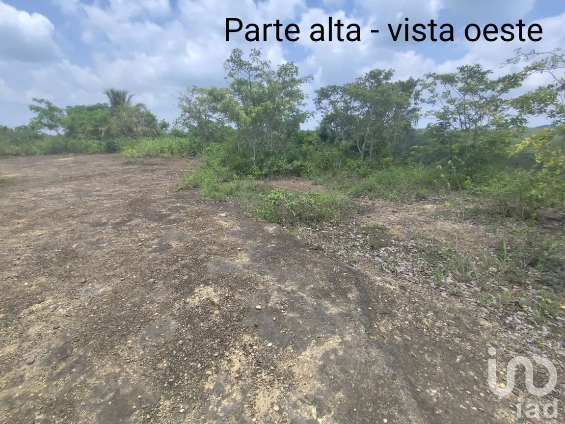 Terreno en Venta en Papantla Centro, Papantla, Veracruz de Ignacio de la Llave | NEX-265907 | iad México | Foto 10 de 14