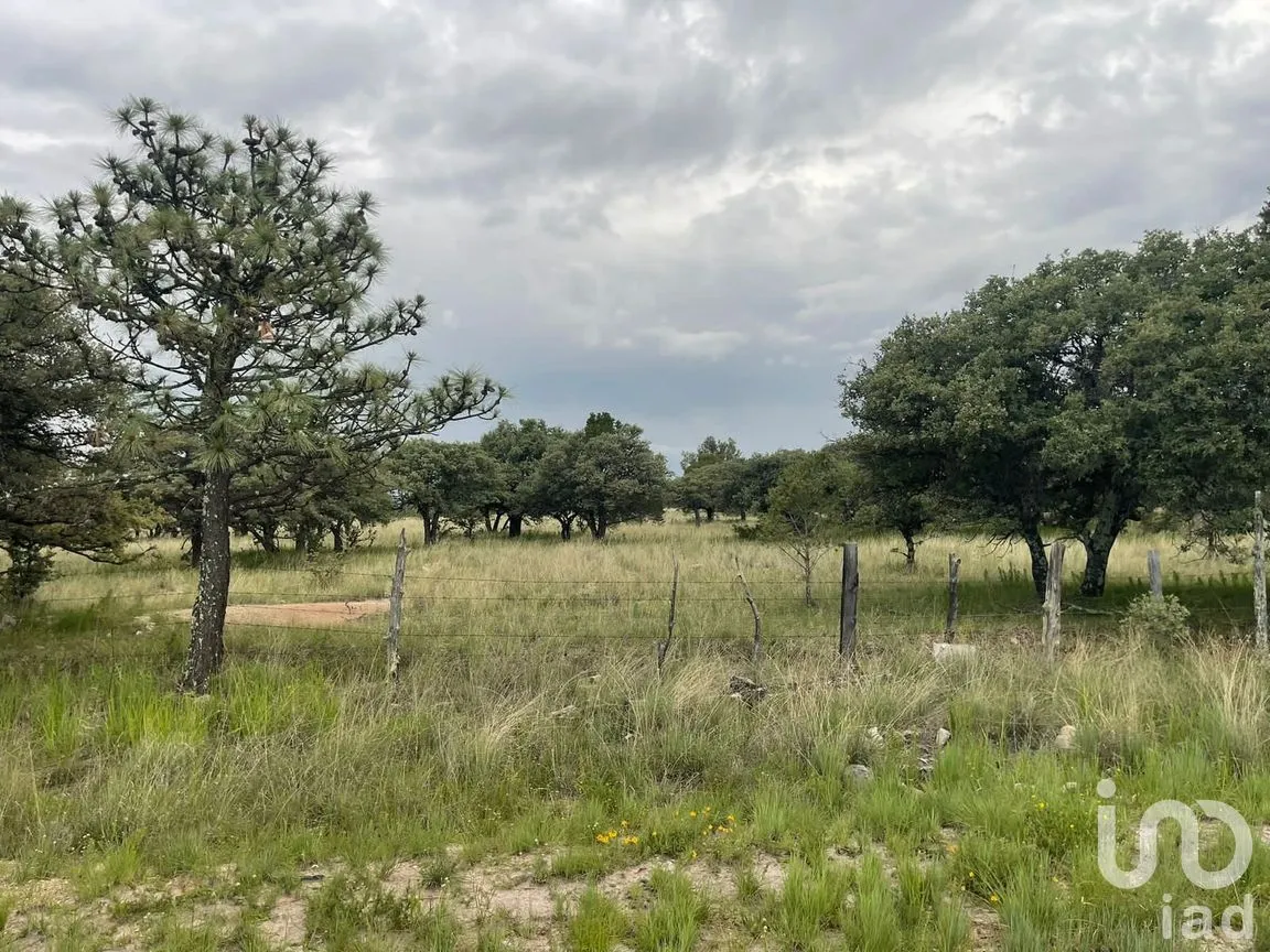 Terreno en Venta en General Máximo García (El Pino), Durango, Durango | NEX-306508 | iad México | Foto 2 de 8