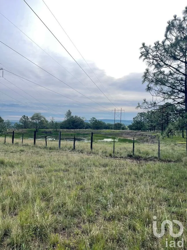 Terreno en Venta en General Máximo García (El Pino), Durango, Durango | NEX-306508 | iad México | Foto 3 de 8
