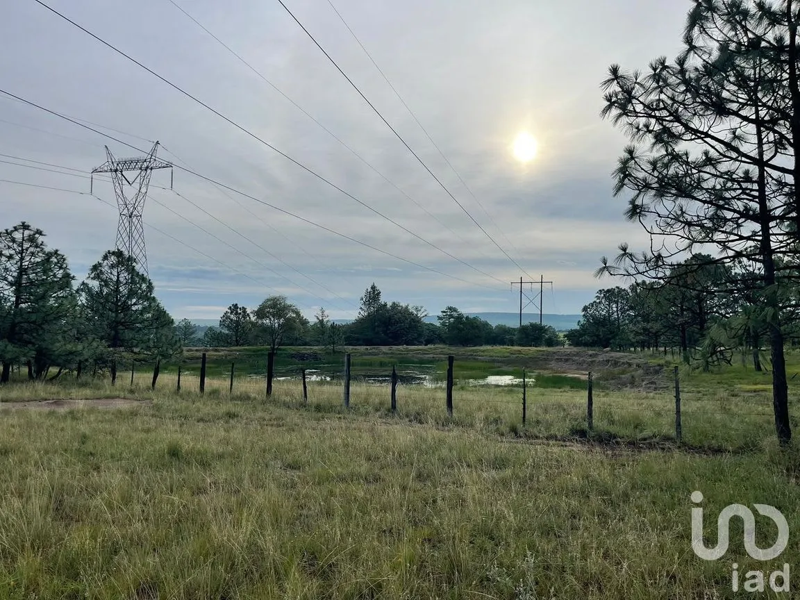 Terreno en Venta en General Máximo García (El Pino), Durango, Durango | NEX-306508 | iad México | Foto 6 de 8