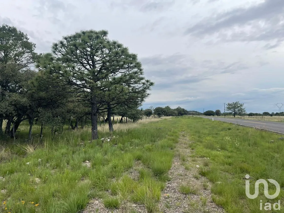 Terreno en Venta en General Máximo García (El Pino), Durango, Durango | NEX-306508 | iad México | Foto 7 de 8
