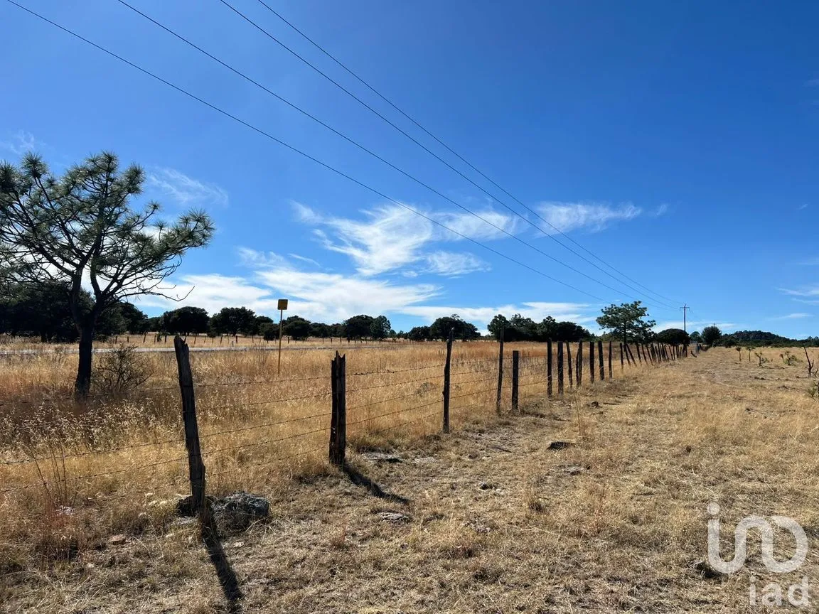 Terreno en Venta en General Máximo García (El Pino), Durango, Durango | NEX-306508 | iad México | Foto 8 de 8