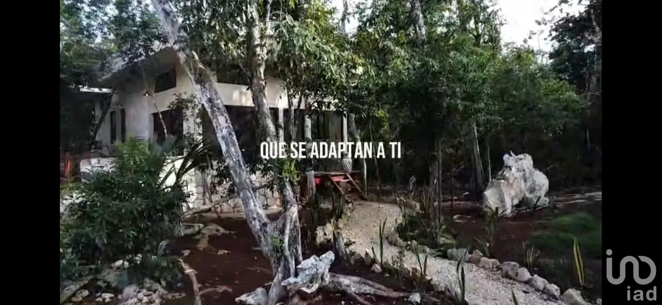 Terreno en Venta en Uh May, Felipe Carrillo Puerto, Quintana Roo | NEX-285380 | iad México | Foto 4 de 8
