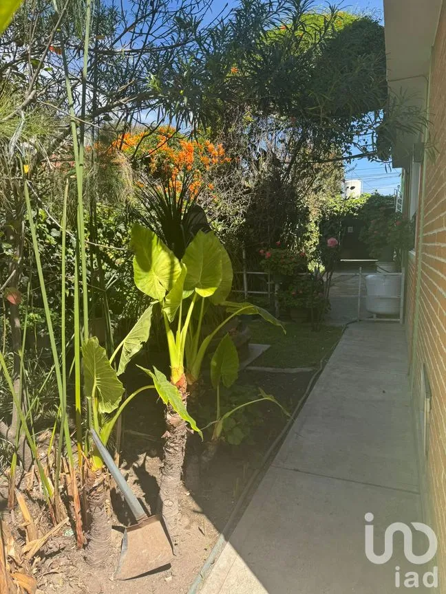 Casa en Venta en Sección Segunda, Zacatelco, Tlaxcala | NEX-287702 | iad México | Foto 10 de 12