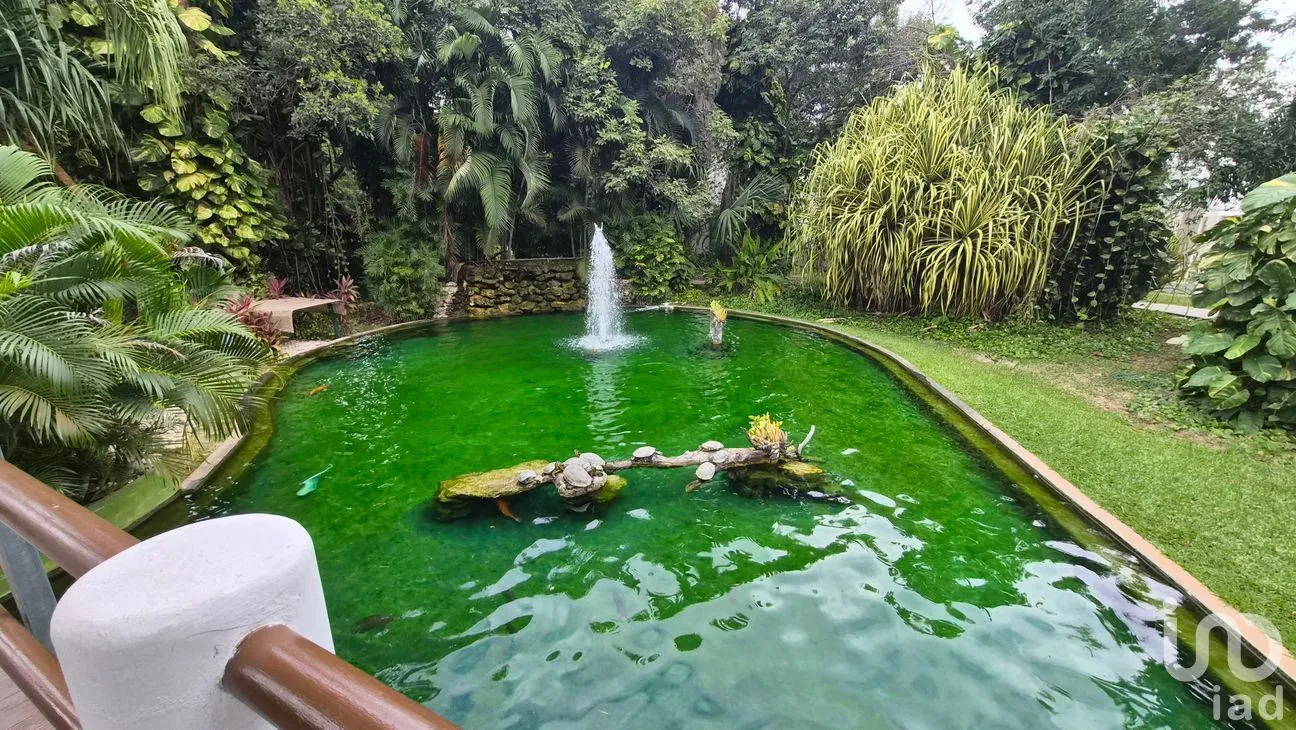 Departamento en Renta en Aqua Residencial, Benito Juárez, Quintana Roo | NEX-285418 | iad México | Foto 23 de 23