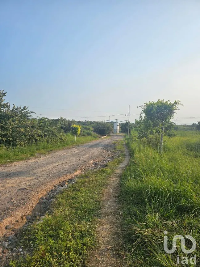 Terreno en Venta en San Juan Texcalpan, Atlatlahucan, Morelos | NEX-283481 | iad México | Foto 2 de 7