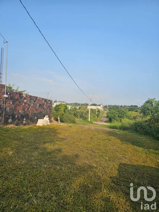 Terreno en Venta en San Juan Texcalpan, Atlatlahucan, Morelos | NEX-283481 | iad México | Foto 3 de 7